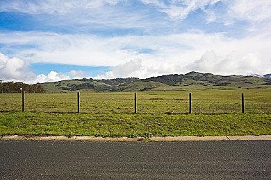 Capcom原创新作《恐龙浩劫》中文版预告和首批截图